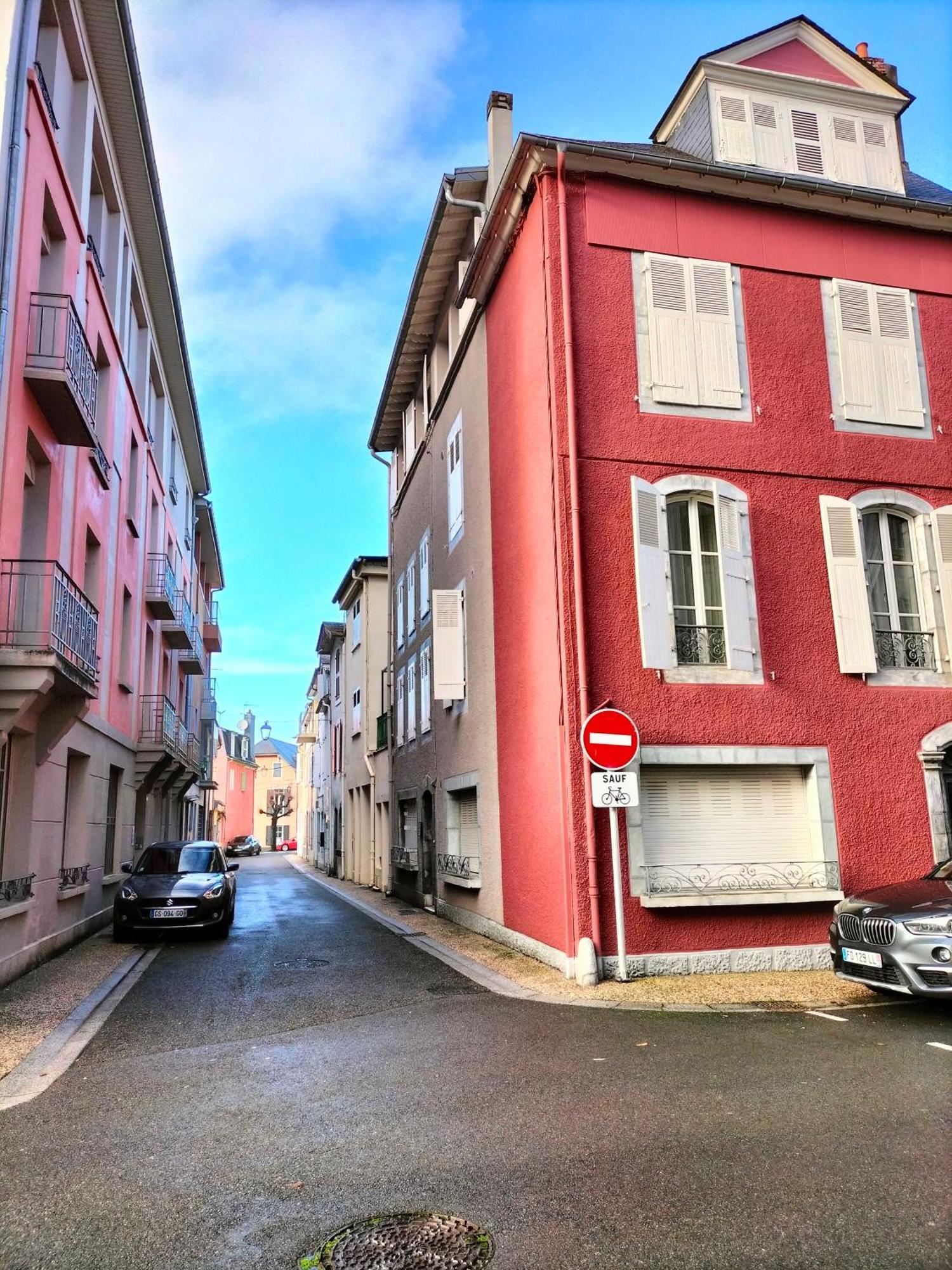 La Roseraie, Loft 3 Etoiles, Calme Et Ensoleille Au Pied Des Pyrenees Bagnères-de-Bigorre Екстериор снимка